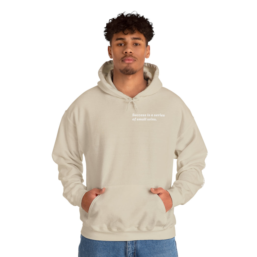 Motivational Hoodie — "Success is a series of small wins" Inspirational Hooded Sweatshirt