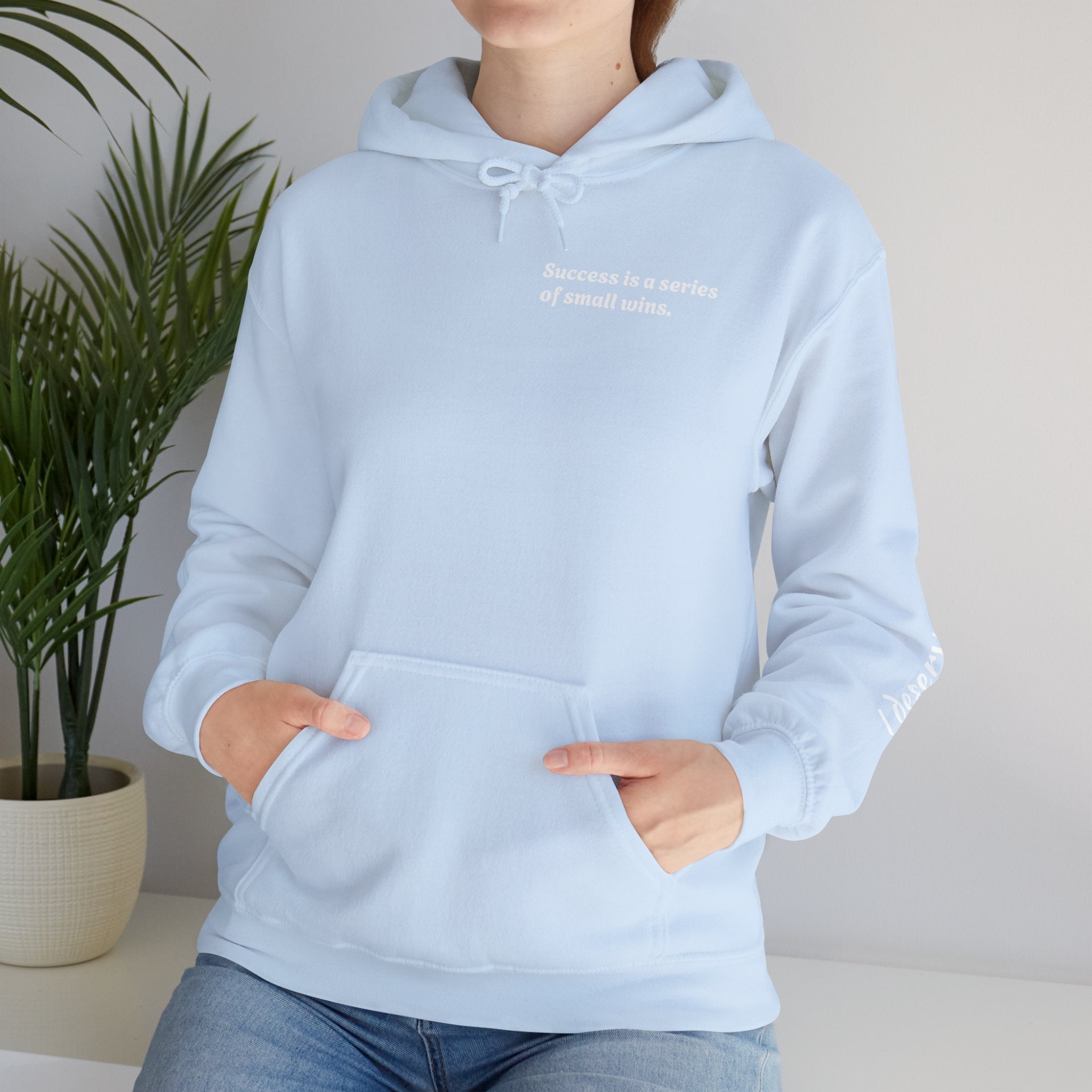 Motivational Hoodie — "Success is a series of small wins" Inspirational Hooded Sweatshirt