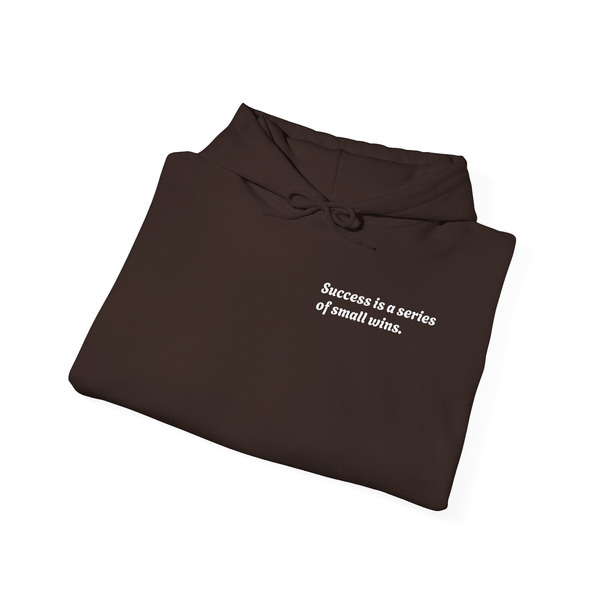 Motivational Hoodie — "Success is a series of small wins" Inspirational Hooded Sweatshirt